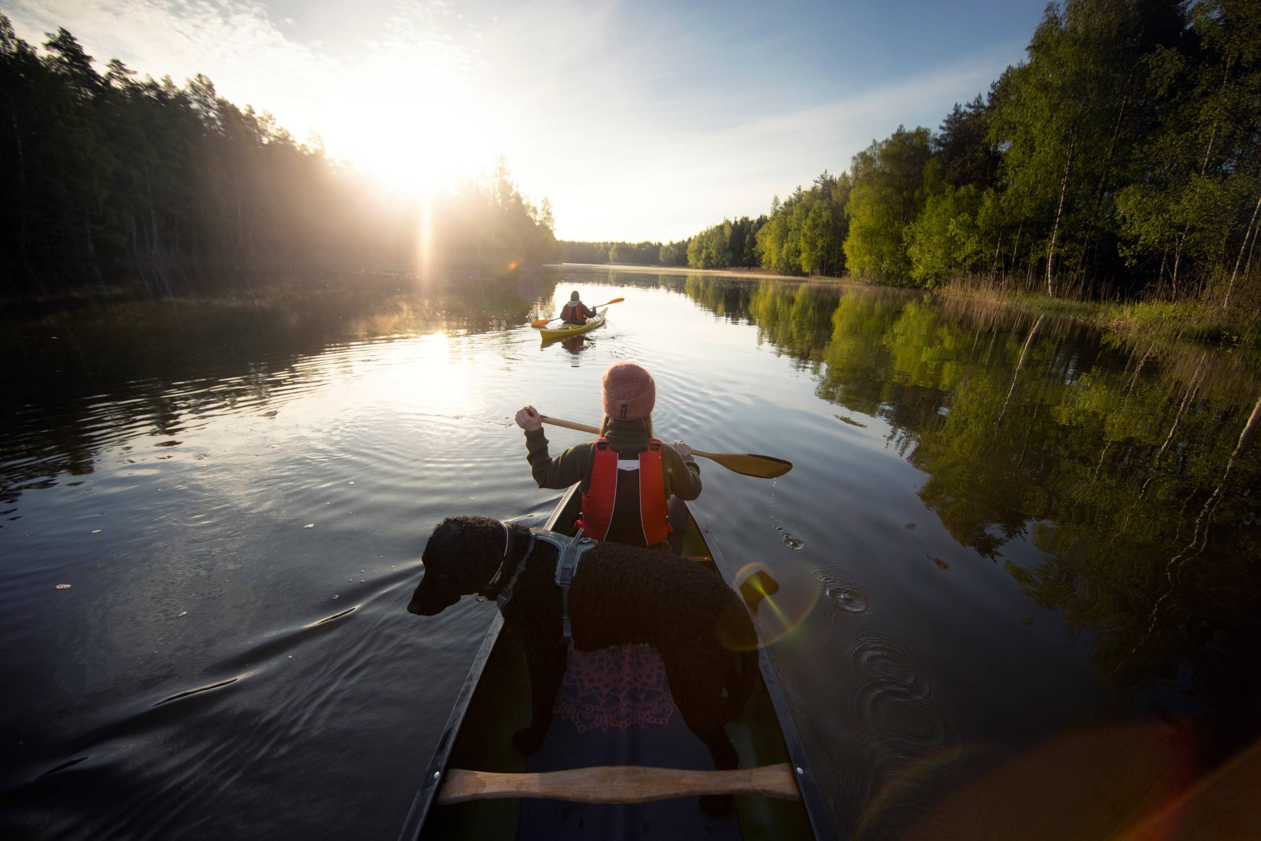 Person paddling down a river with a dog